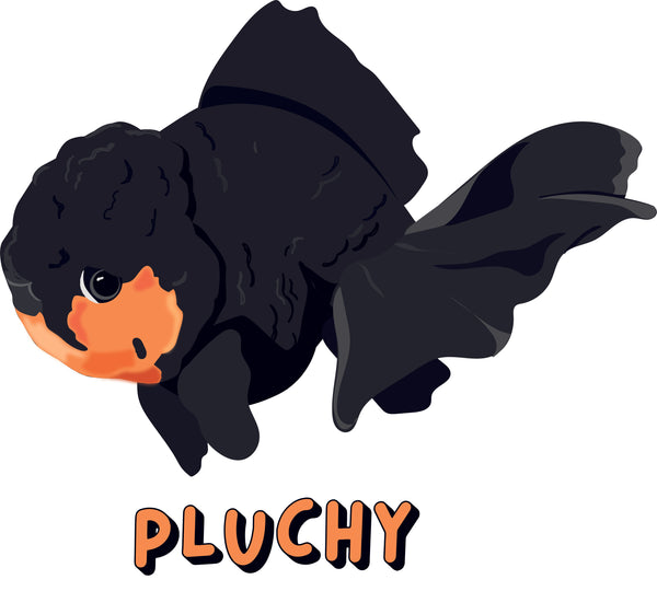 Pluchy